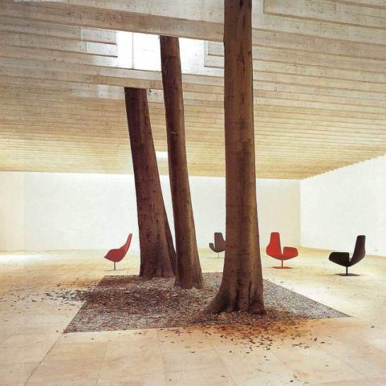 Trees-in-Interiors-Yellowtrace